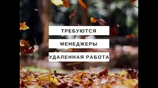 Успешный старт Комарова 29.11.2016
