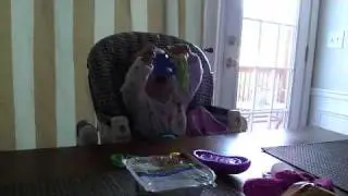 Lyrical Lucy at the Breakfast Table