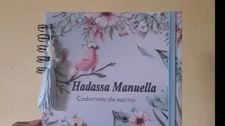 Reforma Cartão de Vacina