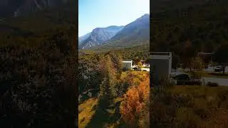 PAÜ’de Sonbahar Manzarası #sonbahar #pau #pamukkaleüniversitesi #drone #djimini3pro