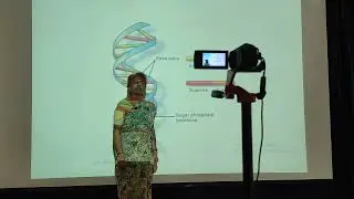 RLSI-Audio video capturing Facility -2