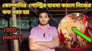 কোম্পানির সঙ্গে পোল্ট্রি ব্যবসাতে নিজের কত খরচ হয়।।