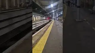 A shed on its way to work