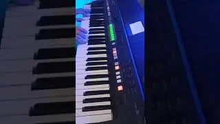 The Power of Pleasure (Yamaha PSR S-650, cover)