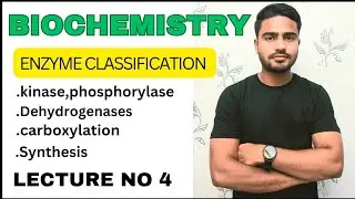 Enzyme classification || Dehydrogenasis || NADPH ||Kinase ||Phosphorylase ||Phosphatases ||Synthesis