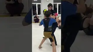 Работа на лапах