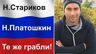 Как дурачат людей в России: Платошкин = Стариков версии 2.0.