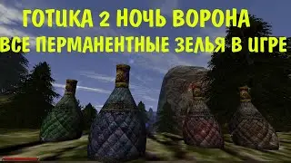 Готика 2 Ночь Ворона | Все перманентные зелья в игре