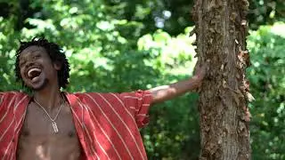 The woods adventures : Nature walk