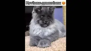 Подборка приколов #7
