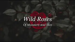 Wild Roses - Of Monsters And Men (Lyrics)