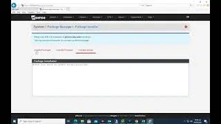 Pfsense 2.5.1How to Installation Packages step by step part