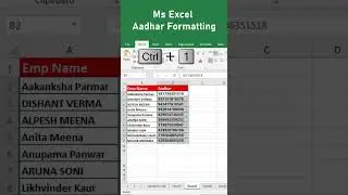 MS Excel Aadhar Number Formatting Trick  