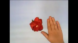 Мультстудия Фантазеры. С днем Матери.