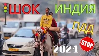 Дорожное безумие в Индии | ПДД | Влог 24