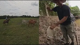 ¡PESCA Y GANADERÍA EN ACCIÓN! AVENTURA DOBLE EN LA NATURALEZA