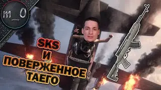 SKS и поверженное Таего / Выжил на 0 хп / BEST PUBG