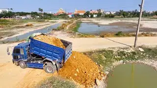 Filling Up The Land, New Road construction, Bulldozer KOMATSU D31P, Dump Truck unloading
