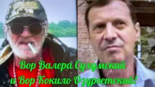 Thief Valera Sukhumsky and Thief Kokilo Ozurgetsky, we're having dinner at Valera's house!
