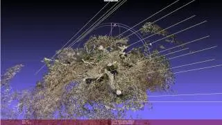Photogrammetry: Roots / Soil Texture