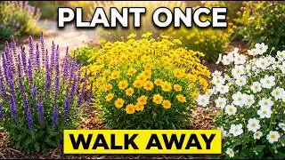 Too Lazy to Garden? Plant These 10 Perennials Now! (3 Hours A Year)