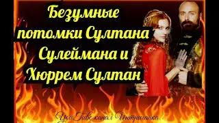 Безумные потомки Султана Сулеймана и Хюррем Султан Великолепный век (Интриганка)