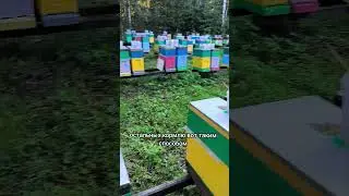 Дешёвая и простая кормушка для пчëл