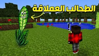 مصر كرافت #41 - اغرب وحش في ماين كرافت !! 😳🔥