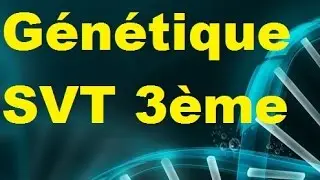 Génétique - SVT 3ème - ADN, gènes et chromosomes