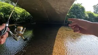 Chill Time Catching SMALLIES And TROUT Creek Fishing!