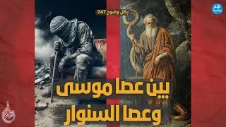 بكل وضوح | الحلقة 247 | بين عصا موسى وعصا السنوار