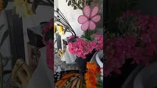monarch