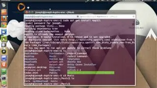 how to play music in a terminal (ubuntu 10.04 and up)