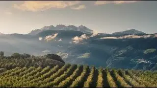 Mon père est la montagne. Ma mère est le soleil méditerranéen.