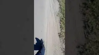 Иду домой