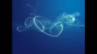 Euphorium - EON