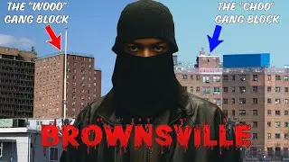 Gang Wars of Brooklyn, New York