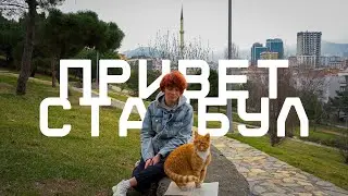 ПРИВЕТ, САРАТОВ // ПРИВЕТ, СТАМБУЛ