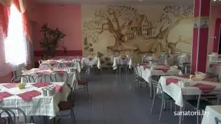 ДРОЦ Птичь - столовая, Санатории Беларуси