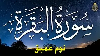 سورة البقرة طاردة الشياطين💚 بصوت هادئ ومريح جدا جدا 💚💤تلاوة هادئة للنوم والراحة النفسية 😴