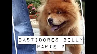 Bastidores Parte 2 - Billy, o chow chow agressivo na casa de Alexandre Rossi