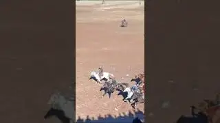 Бузкаши точикобод тамошо кун лайка бшап