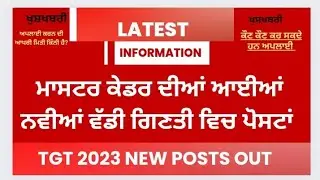 new master cadre posts is out | last date for apply | eligibility | pstet  htet | posts 2023