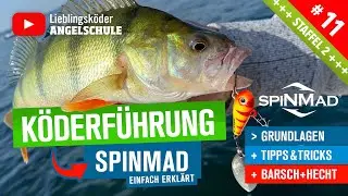 SpinMad Köderführung für Barsch & Hecht – So fängst du MEHR Raubfische! 🐟🔥