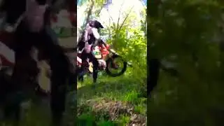 Орловский лес🌲