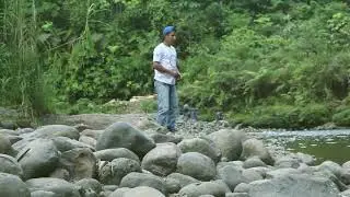 Vídeo arte