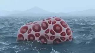 Ocean Series