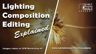 Lighting Composition Editing Explained | Workshop 60 -ENGLISH-
