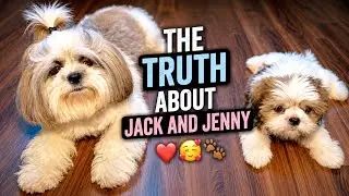 Jack And Jenny Ki Sacchai 😳 | Jennykimasti 🥰