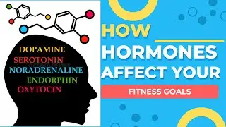 How Hormones Affect Your Fitness Goals | Aaron Wang Experience
